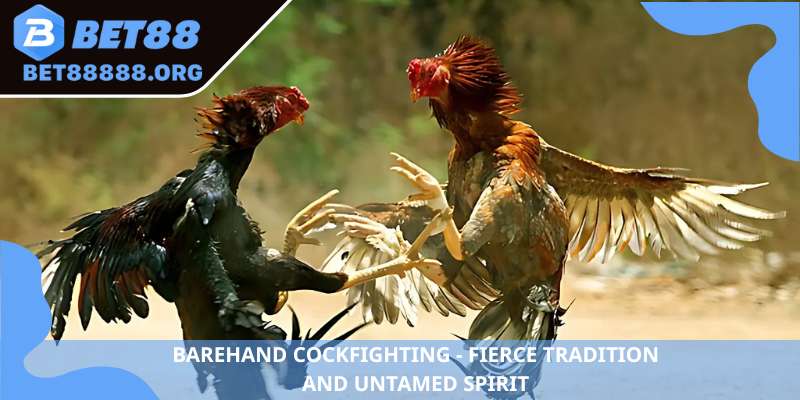 Barehand cockfighting