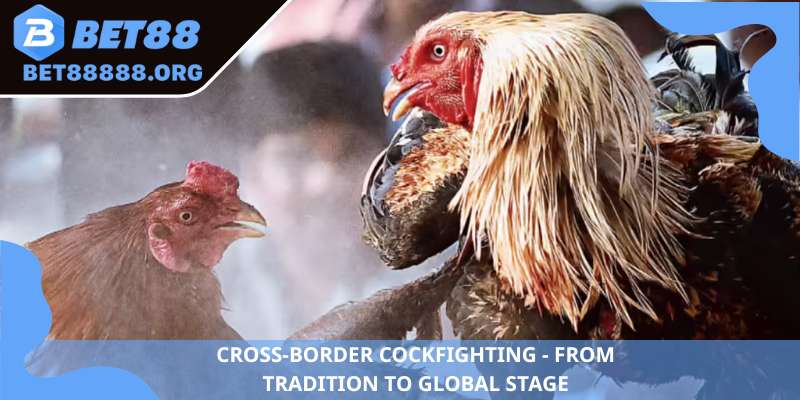 Cross-border cockfighting