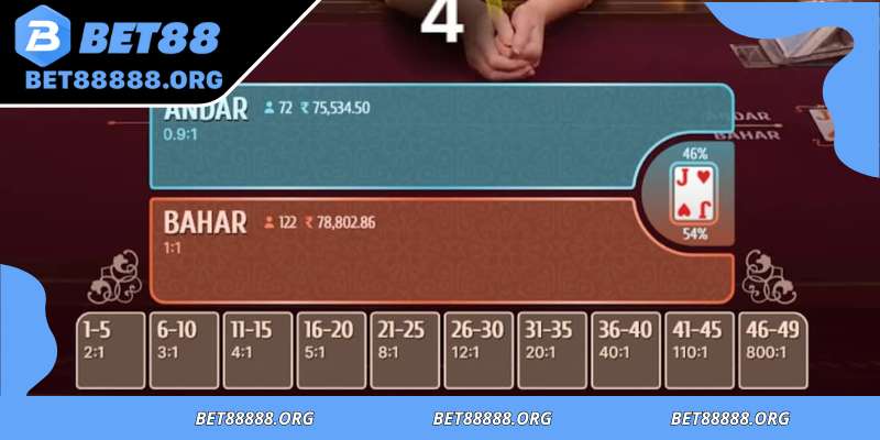 Detailed types of exciting bets