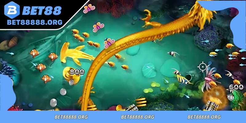 Fishing frenzy engaging visual design and calming ocean atmosphere