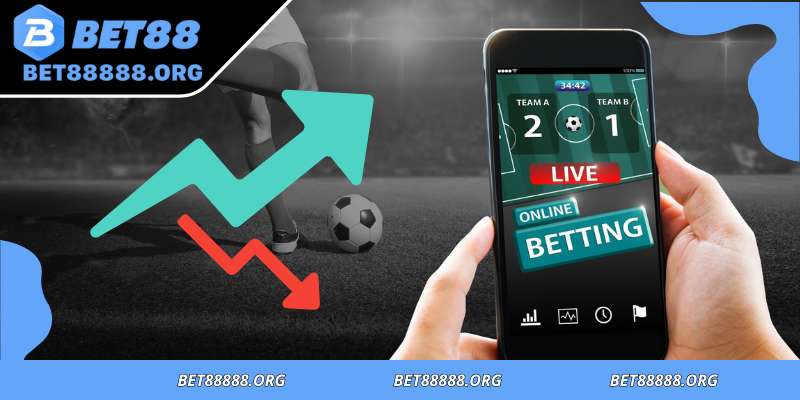 How to calculate bet payout when winning or losing