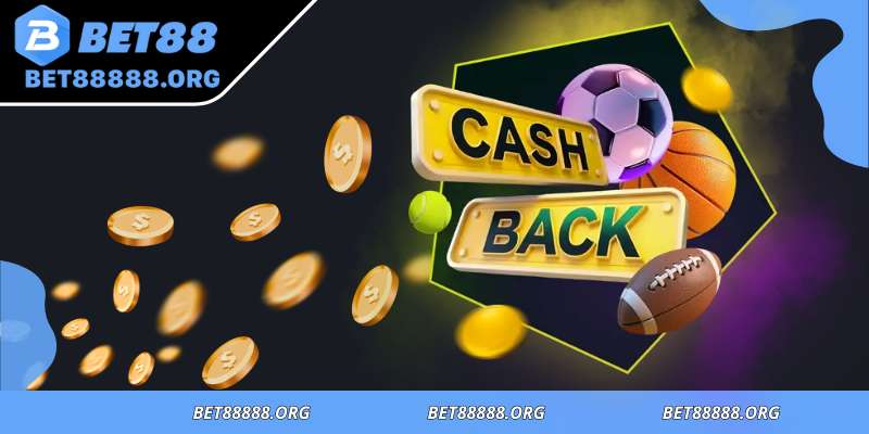 Platform provides cashback rewards