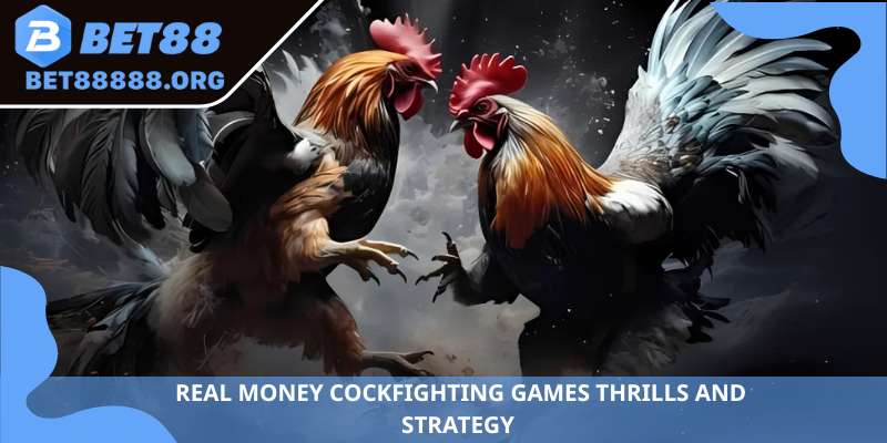 Real money cockfighting games