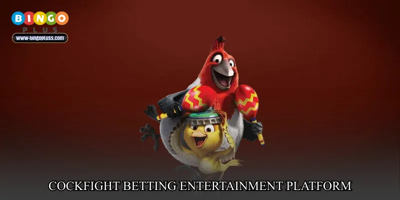 cockfight betting entertainment platform