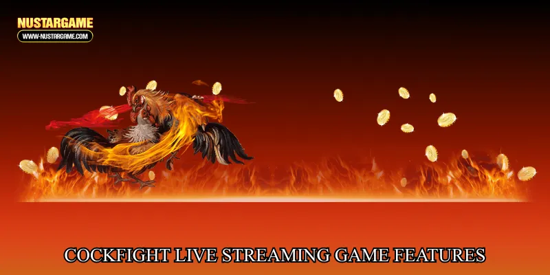 Cockfight live streaming game features