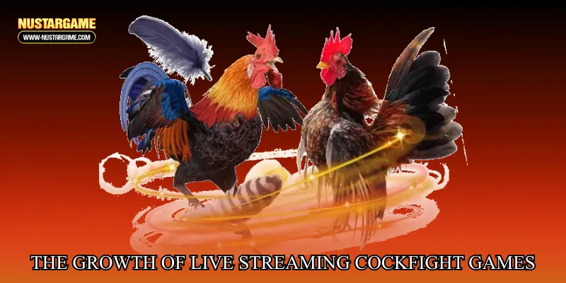 The growth of live streaming cockfight games