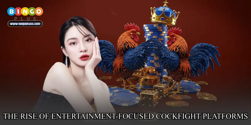 The rise of entertainment-focused cockfight platforms
