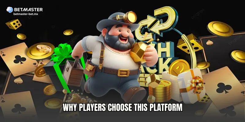 Why Players Choose This Platform